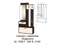 Секция с зеркалом